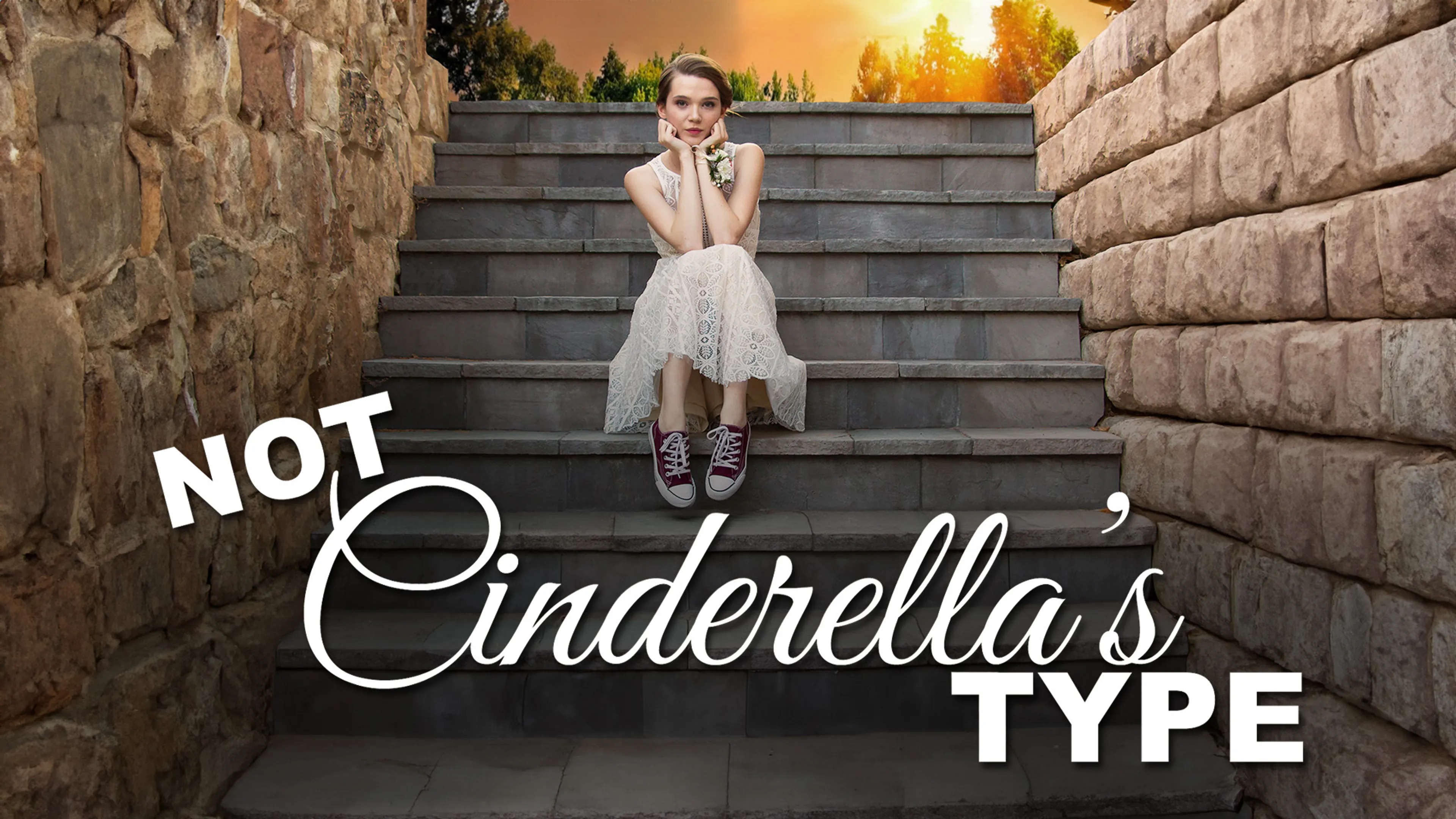 Not Cinderella's Type poster